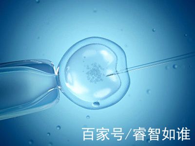 妇科专家